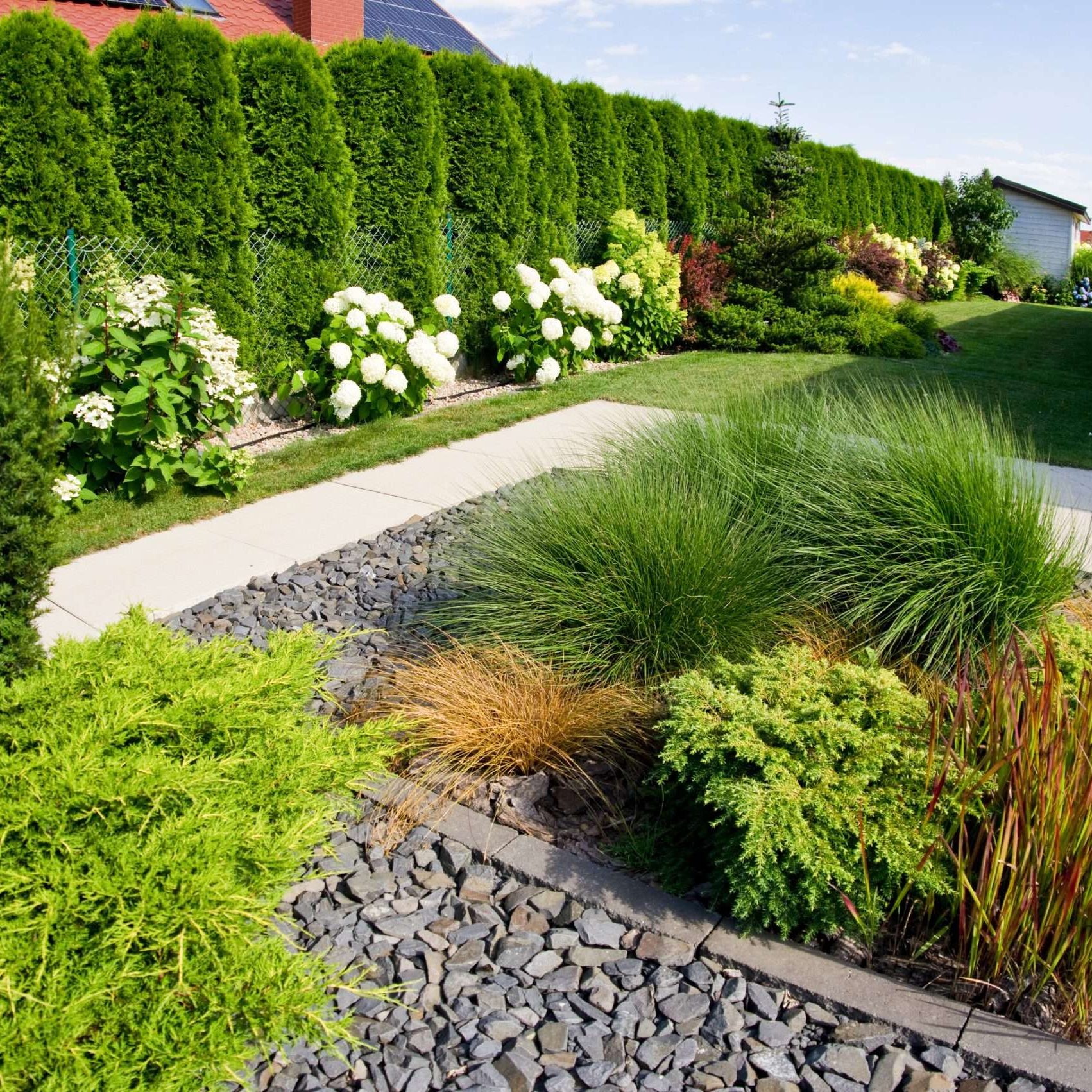 Frontyard of a modern house garden detail with plants and rocks